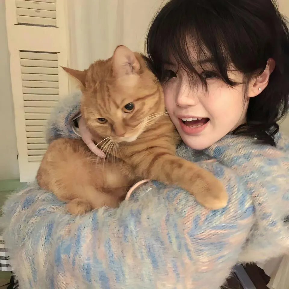 猫和老鼠:飆风天王高清封面